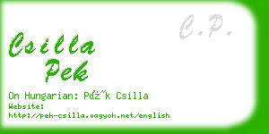 csilla pek business card